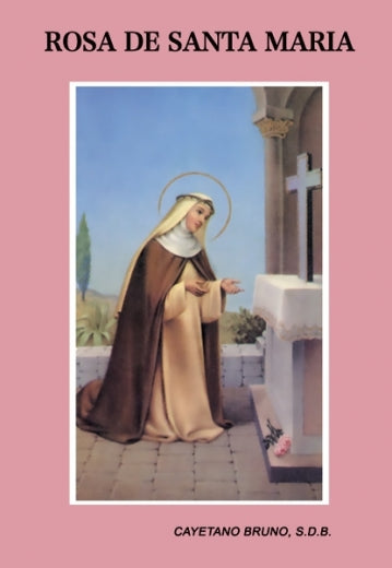 Rosa de Santa María