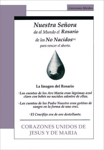 Nuestra Señora da al Mundo el Rosario de los No Nacidos para vencer el Aborto